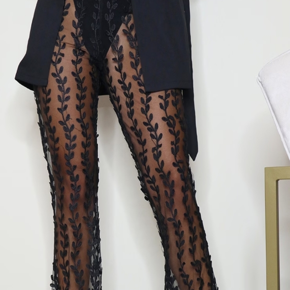 See through lace type pants. - Picture 4 of 4